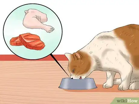 Image titled Ensure That Your Cat Finishes Its Food Step 5