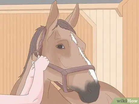 Image titled Begin Horseback Riding Step 11