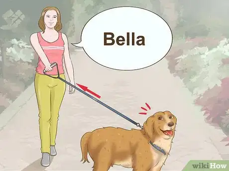 Image titled Train Your New Dog to Respond to a New Name Step 8