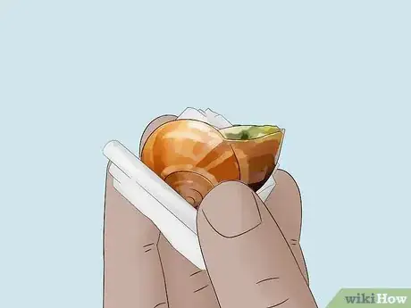 Image titled Eat Escargot Step 3