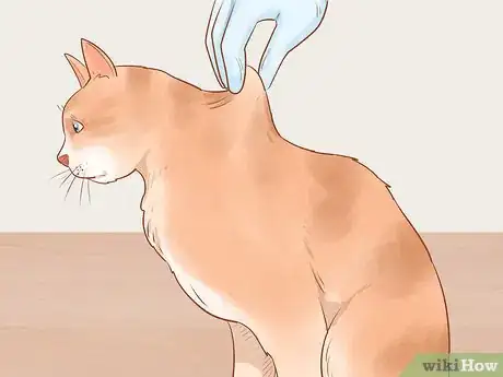 Image titled Administer Insulin to a Cat Step 12