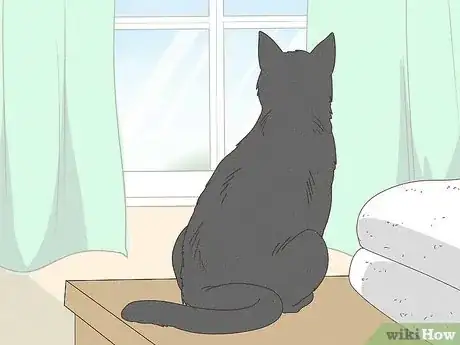 Image titled Keep a Cat from Running Away when It Is Moved Step 11