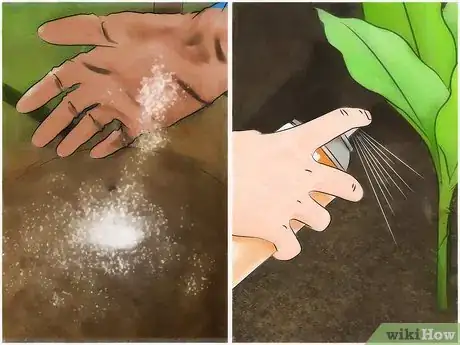 Image titled Get Rid of Aphids Step 14