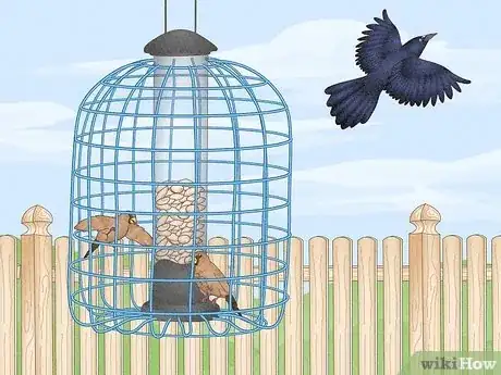 Image titled Get Rid of Grackles Step 1