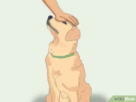 Image titled Teach Your Dog to Heel Step 7