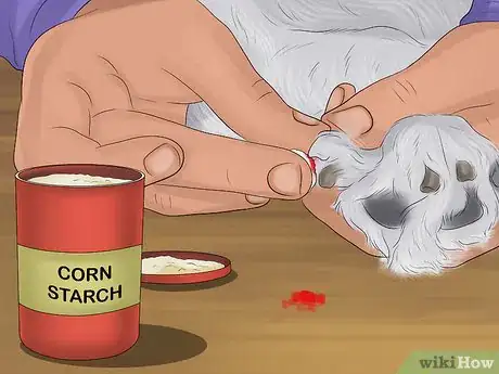 Image titled Stop a Dog from Bleeding Step 13