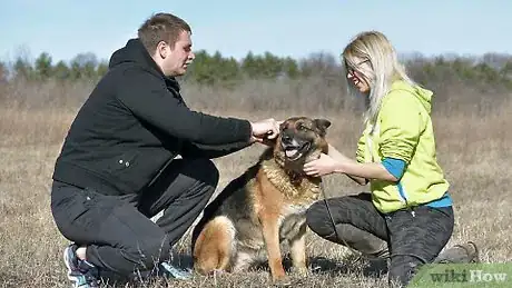 Image titled Use a Prong Collar on Dogs Step 1