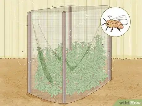 Image titled Protect Plants Step 12