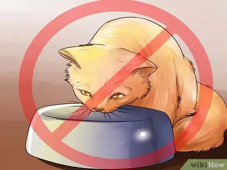 Image titled Prepare Your Cat for Surgery Step 4