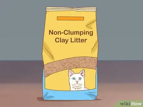 Image titled Keep Litter from Clumping in Your Kitty's Paws Step 1