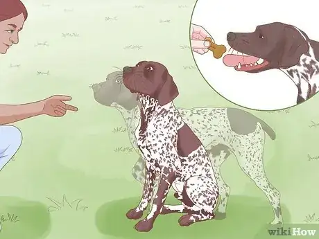 Image titled Socialize an Aggressive Dog Step 7