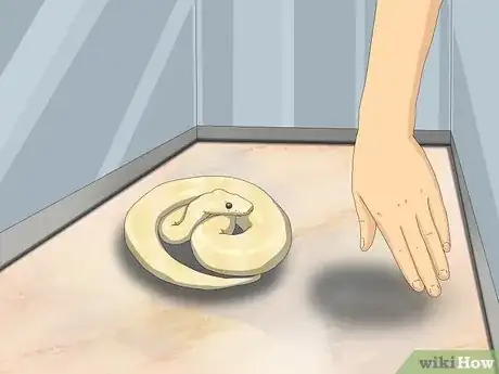 Image titled Hold a Snake Step 2