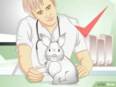 Image titled Care for a Rabbit with GI Stasis Step 15