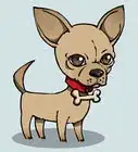 Draw a Chihuahua