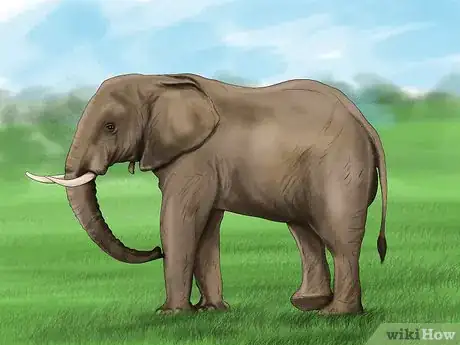 Image titled Ride an Elephant Step 10