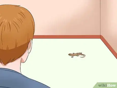 Image titled Catch a Lizard Without Using Your Hands Step 1