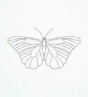 Draw a Butterfly