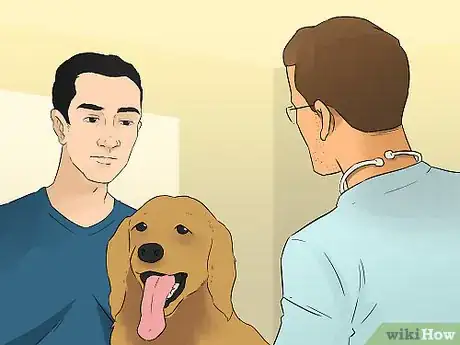 Image titled Make a Routine for Your Dog Step 13