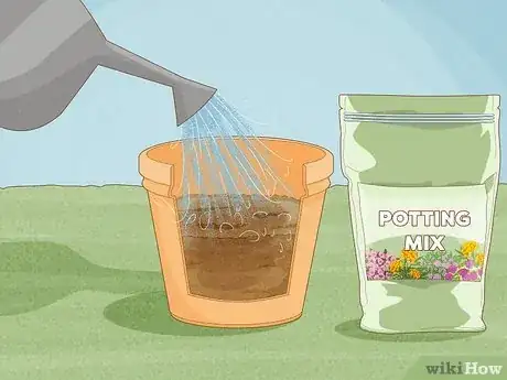 Image titled Grow a Rose Bush from Rose Bush Cuttings Step 1