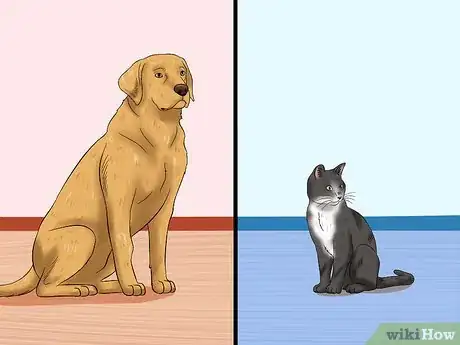 Image titled Introduce an Older Cat to a New Dog Step 1