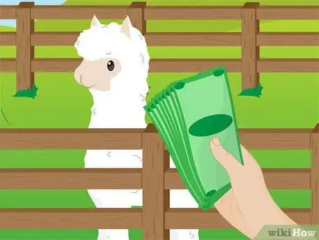 Image titled Buy Alpacas Step 13