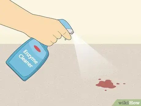 Image titled Remove Blood Stains from Carpet Step 13