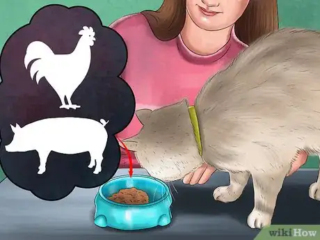 Image titled Feed Your Cat Natural Foods Step 10