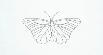 Draw a Butterfly