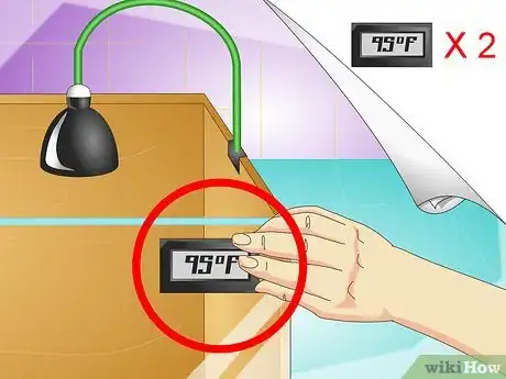 Image titled Set Up a Vivarium for a Bearded Dragon Step 8