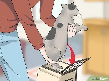 Image titled Assess Your Cat's Weight Step 4