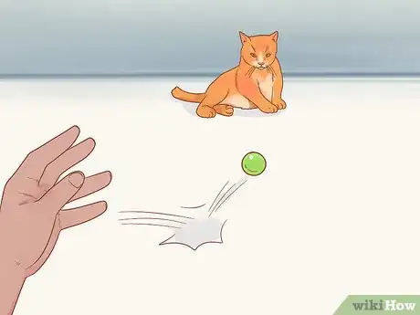 Image titled Stop Your Cat from Attacking Your Dog Step 9