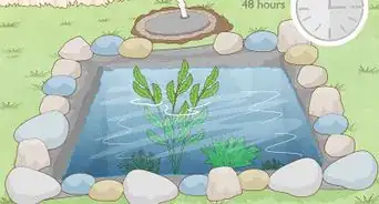 Make a Mini Pond