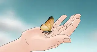 Hold a Butterfly