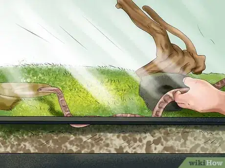 Image titled Get a Pet Snake Step 13