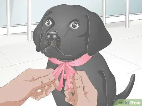 Image titled Make a Dog Collar Step 12