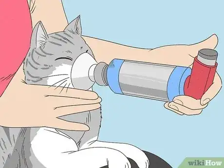 Image titled Treat a Cat With Asthma Step 3