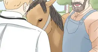 Help a Horse with a Thrown Shoe