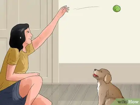 Image titled Teach a Puppy Its Name Step 9