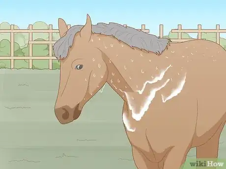 Image titled Know if Your Horse Is Sick Step 7