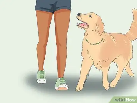 Image titled Teach Your Dog to Heel Step 9