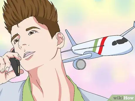 Image titled Bring an Urn or Ashes on a Plane Step 1