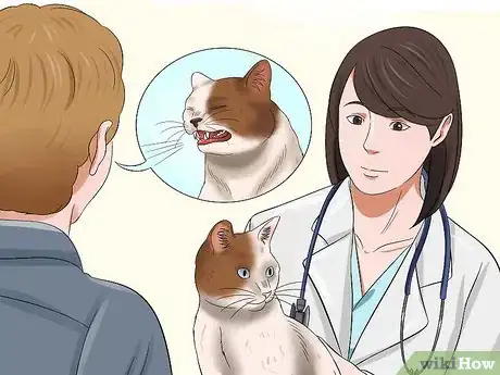 Image titled Care for an FIV Infected Cat Step 10