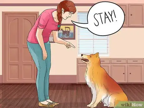 Image titled Train Shelties Step 12