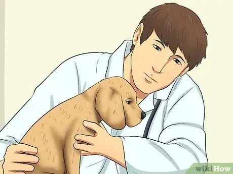 Image titled Give a Puppy As a Christmas Gift Step 10