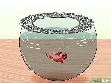 Image titled Keep Fish when You Have Cats That Like to Hunt Step 2