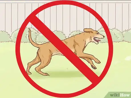 Image titled Know if Your Dog Has a Slipped Disc Step 9