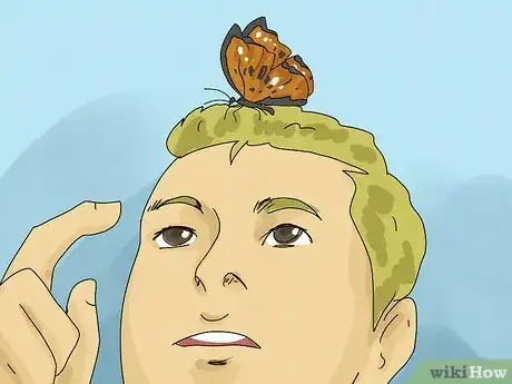 Image titled What Does It Mean when a Butterfly Lands on You Step 5