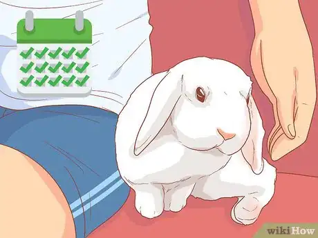 Image titled Raise a Lop Eared Rabbit As a Pet Step 16