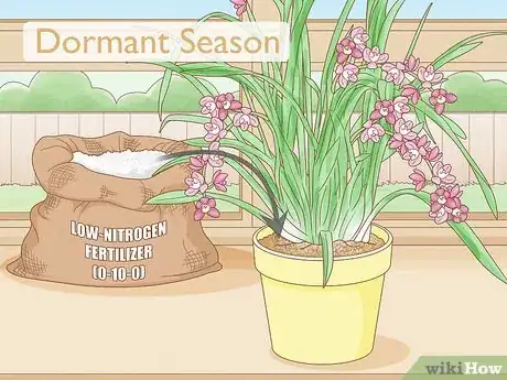 Image titled Grow Cymbidium Orchids Step 12