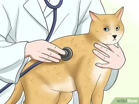 Image titled Take Care of Nursing Cats Step 13